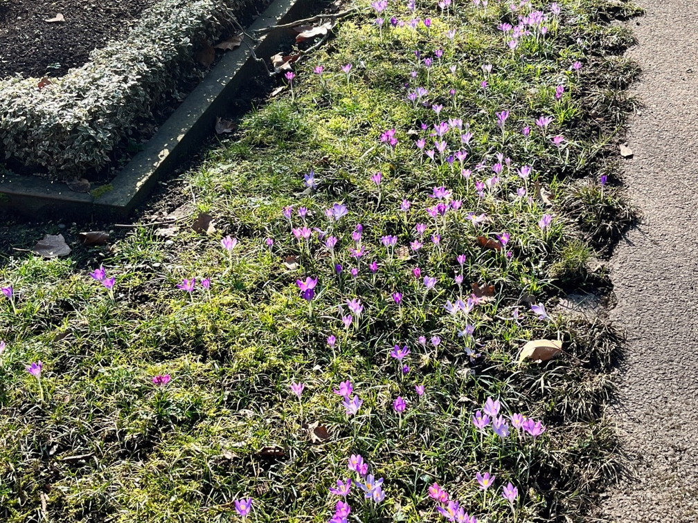 23-02-13 12-41-29 4176